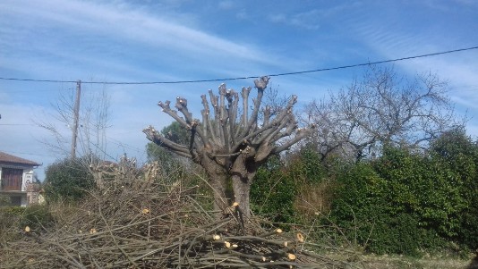 elageur luchon aurignac haute garonne